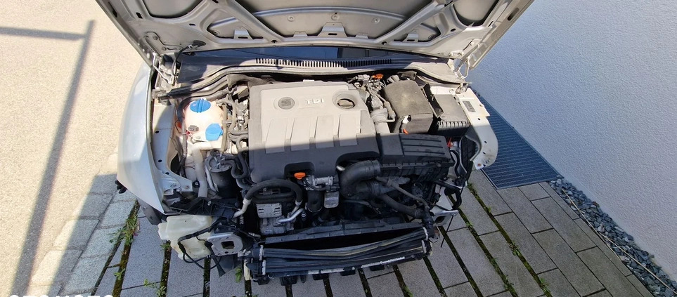 Seat Leon cena 7900 przebieg: 212121, rok produkcji 2015 z Głuchołazy małe 37